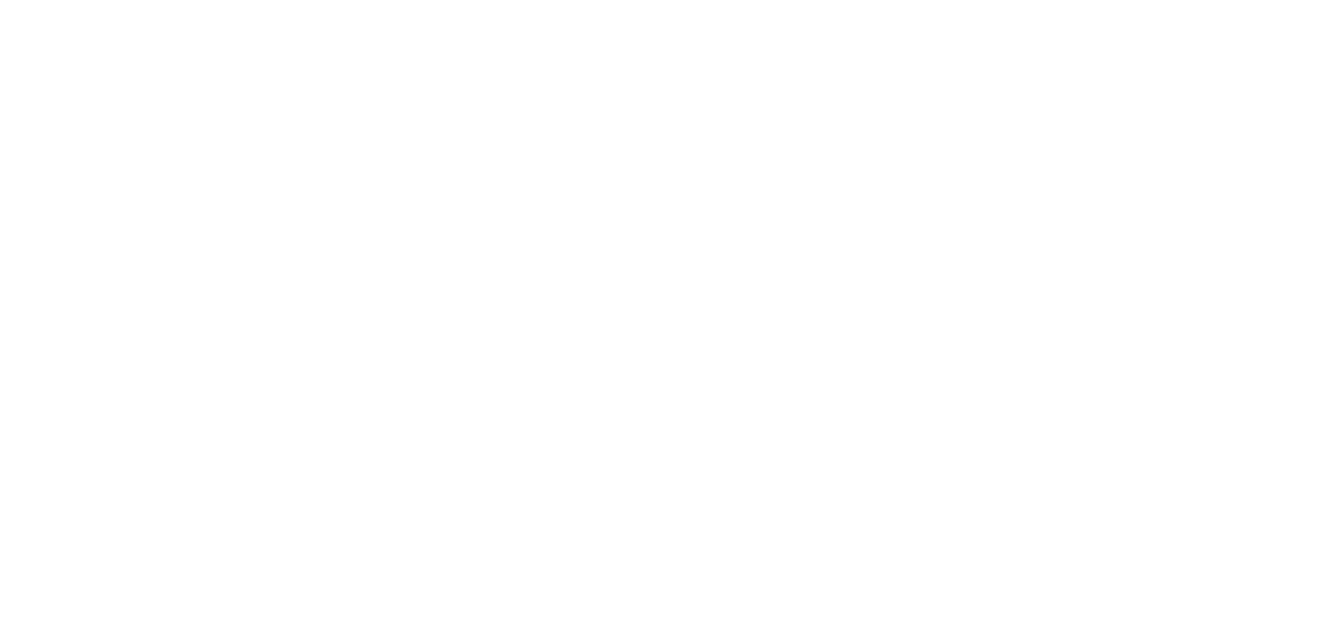 SatelCargo
